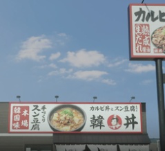 最近食べたもの【韓丼】