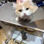 お客様のご紹介