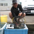 伊南川　釣れるよ！。。。。。。。