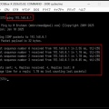 DOSBox-X で TCP/IP を利用可能にする