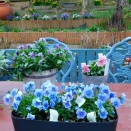 庭をゆっくり楽しむ