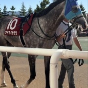 札幌記念に出走した推し馬に会ってきました