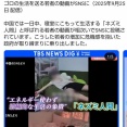 【悲報】中国政府さんニートを弾圧開始ｗｗｗｗｗｗｗｗｗｗｗｗｗｗ