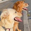 2026年　宜しくお願い致します。