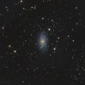 きりん座　NGC2336