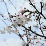 【公式】スポーツマックス　ブログ