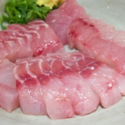 ロックフィッシュをおろす