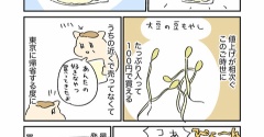 豆もやし、助かるよねぇ