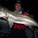 3月18日〜19日釣果情報！！