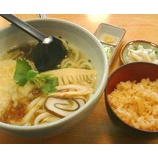 『古式手打ちうどん「新橋さぬきや」Bセット650円』の画像