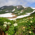 菊水 らーめん山頭火 旭川とんこつ塩 in【白雲岳避難小屋】花の大雪山緑岳・白雲岳・小泉岳