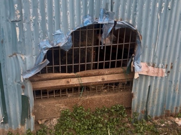 本日のレスキューです。。。