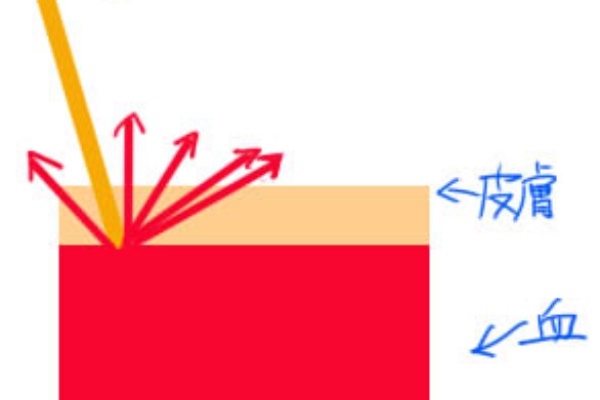 強い光が当たっている肌と肌の陰の境界線に彩度の高い色を塗る理由 イラストのはなしをしよう
