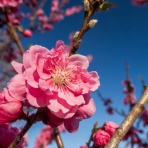 宵闇写真館・ブログ