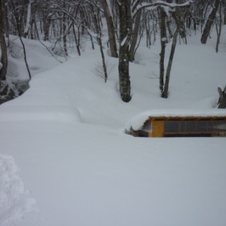森の温泉～駒の湯温泉通信