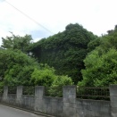 川口市芝(字)・芝下・芝高木の探索