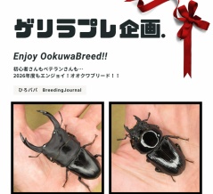 ゲリラプレ企画