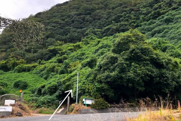 ちょいわる爺さん専用 ちょいわる爺さん専用 ピーナッツさん専用 かわいらし