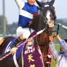 ダイワメジャーって何でそんな凄いの？教えて上原先生ｗｗｗ