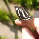 何とか思い出しました。