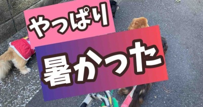 涼しいと思って行ったのだが