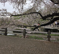 第１９８回藤原義塾勉強会　勉強会という名の｢ただの飲み会｣なんですが若干空きがあります