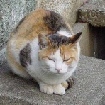 『福祉データ処理演習』