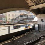 コガネムシのつぶやき