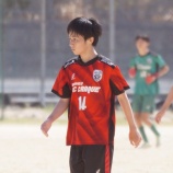 『クラッキフォト 20250419』の画像