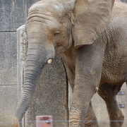 激怒プンプン丸な姉妹