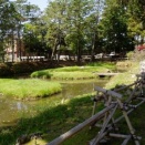 稲富神社つつじ祭り