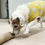 華・あず＆レン