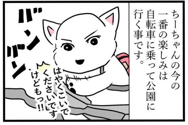 ちーちゃんっ🐾 - 自転車とちーちゃん