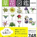 この花なぁに？？