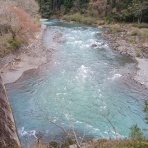 つり吉オヤジの日高川龍神鮎・あまご情報