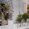 生活のたのしみ展2026in三角広場