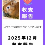 for the RABBIT【保護うさぎの里親探し】
