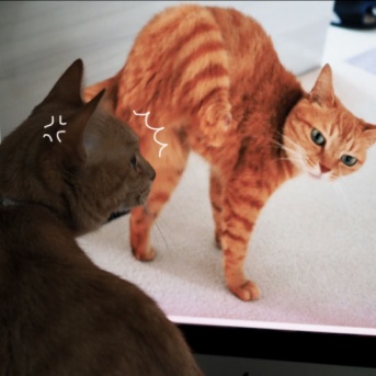 だれっ？！どこっ？！