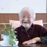 『この時期ぴったり🌿✨彡　　　』の画像