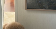 人はなぜ「上と下」を作りたがるのか