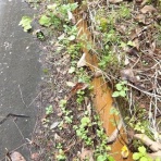 新潟発・B級温泉紀行