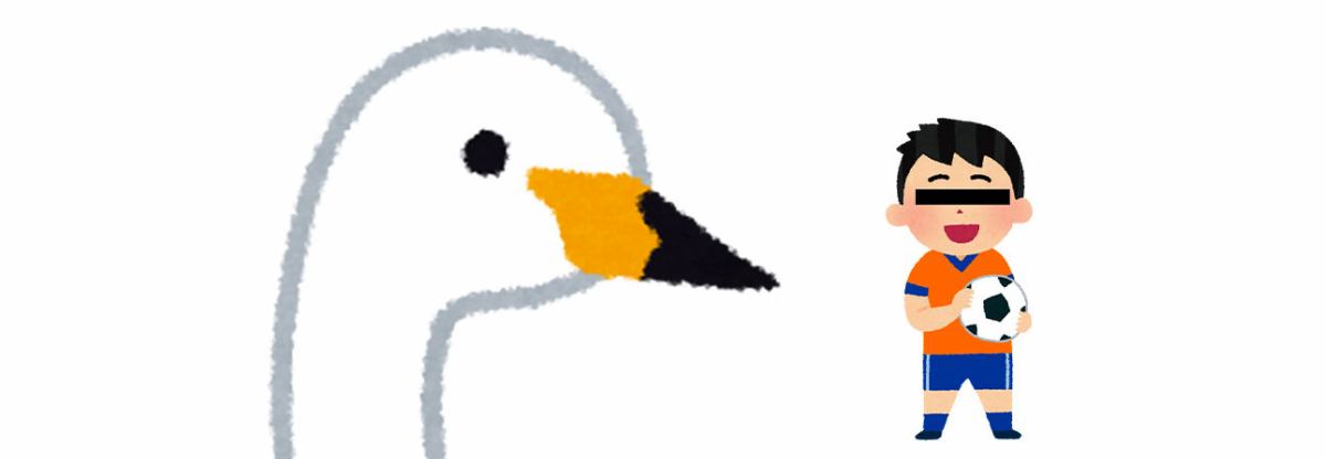 個人的アルビ覚え書き