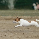 今日のJRT　５８