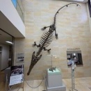 社会人落語日本一決定戦おまけ