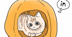 ネコベッドが欲しい③