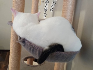 裸足でいても平気になりました。と、青空しずく作りました。