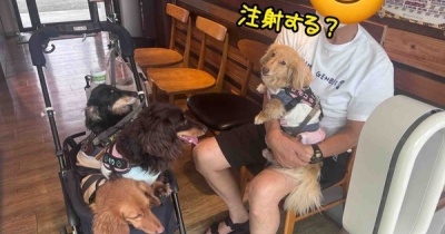 狂犬病予防接種。