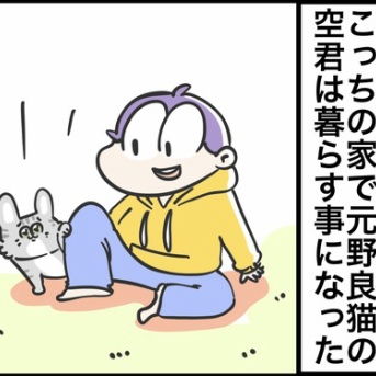 子猫は波のようだ