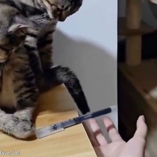 らばQ