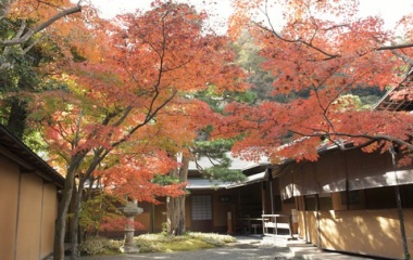 『秋映え　３』の画像